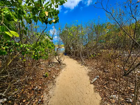 Ilha de Santo Aleixo — foto 2, Barra de Sirinhaém, Sirinhaém PE