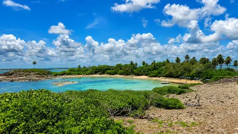Ilha de Santo Aleixo — foto 3, Barra de Sirinhaém, Sirinhaém PE