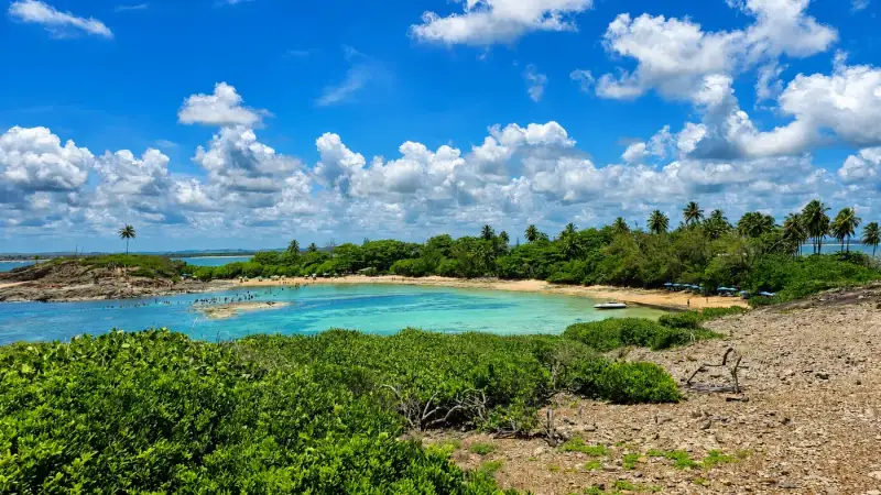 Piscinas naturais e pedras na Ilha de Santo Aleixo durante o passeio