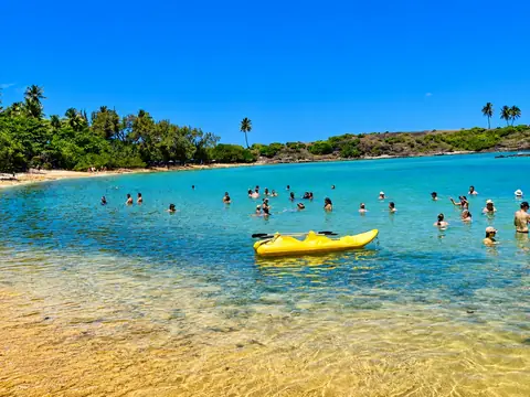 Ilha de Santo Aleixo — foto 4, Barra de Sirinhaém, Sirinhaém PE
